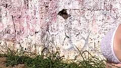 i asked the highway prostitute for a free woods fuck