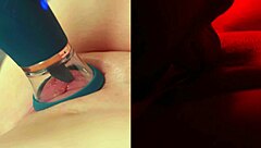 This guy's tongue is super versatile - honeyplaybox