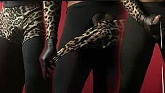 show de exibicao movimentos de strip tease danca sedutora performance de sensualidade e provocacao