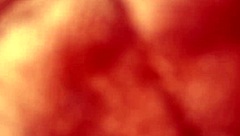 She pulls up for a homemade encounter