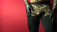 show de exibicao movimentos de strip tease danca sedutora performance de sensualidade e provocacao