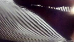 got caught filming wife's upskirt pussy