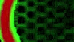 Mocha Menage Gives Sloppy Blowjob To Rome Majors Bbc.