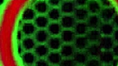 Sara Jay Reaches Orgasm With Huge Toys