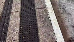 Brazilian beauties on leashes strut Sao Paulo streets for wild public domination!