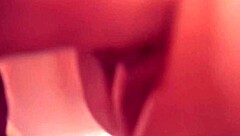 doggy style shot with macro lens close up