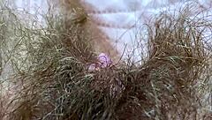 extreme closeup huge clitoris rubbing orgasm