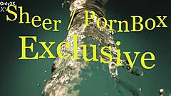 Alyssa Reece's 11-minute anal session with fingering and assfucking – swallow the intrigue!