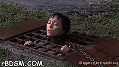 free sadomasochism sex stories