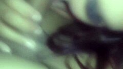 is gabycerejinha giving a sloppy blowjob to the young taxi driver?