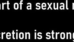 Teach Me How To Blow - Jackie Banes