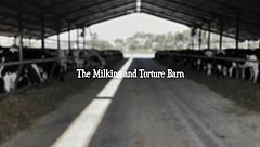 Dominatrix Mistress April Binds Whore For Pussy And Anal Fucking