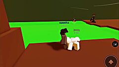 Fucking Hot Chick on Fun Cumbat with Big Cock