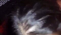 esposa culona horny con otro en casa