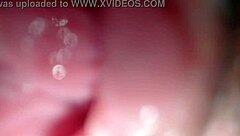 Big Girl Fucks Her Ass Hole Until It Breaks