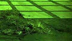 passionate domination catches teen masturbating and fucks her hard