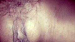 Does this big cock fuck your sexy teacher's tight wet pussy until it squirts?