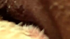 Morning Licks And Laughs With Pretty Pussy Cunilingus