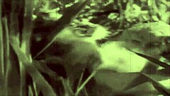 I love how dark lantern entertainment brings beauty and the beast to life with vintage charm