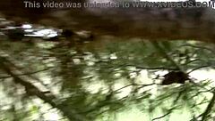 hey, nothing beats passionate sex out in the wild woods, right?