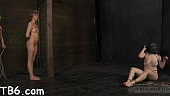 Femdom Sadomasochism Contest