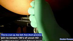 Dr tampa human guinea pigs phoenix rose in florida