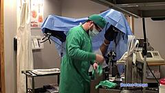 Dr tampa human guinea pigs phoenix rose in florida