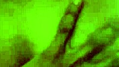 Hot wife rides cock at dawn in passionate creampie.