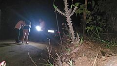 Compartilhando Esposa Gostosa Baixinha E Jovem Com Estranho Bbc Na Rua Interracial