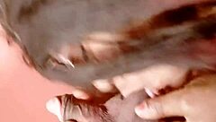 sundaydogood614 - update 198 - vid 20240514 085913 - may 14 2024