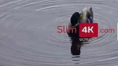 Skinny Brunette Margo Von Teese Fucks Boyfriend Doggystyle With Cumshot