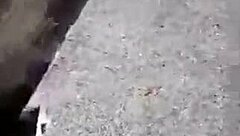 Honey allowed her moms bf in her apartment when her mom was at work