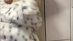 Elza Kom Dances Seductively in Lingerie Before Sucking Cock