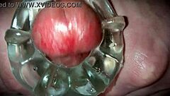 Homemade Solo With Toys Leads To Oozing Cum Closeup