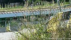 young pretty teen girl in public gangbang sex orgy