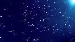 Space slut extracts my dna straight into her pussy