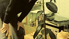 check out this vintage taboo family story from victorian times, it's erotic!