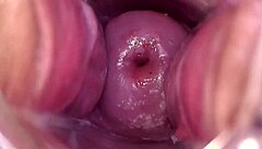 Breedable Wet Shaved Pussy Gets Fucked