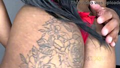 Hanna Fox sucks my monster cock in Manaus