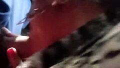 I have a quick encounter in the car