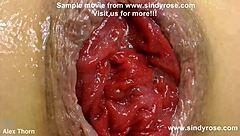 mrplay anal fisting sindy rose at the kitchen table & she prolapse extreme