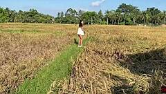 Rice Picker Demands Rough Sex Payment