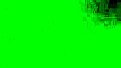 Lola bunny breaks the rules in animated music video