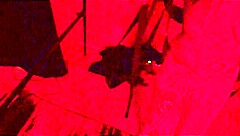 In the sex dungeon kali ryder gets fucked hard by swingers