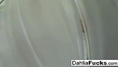 sexy dahlia gets naughty in shower, masturbating her tits and pussy 😏🚿