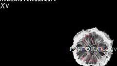 How To Get Pregnant Without Sex