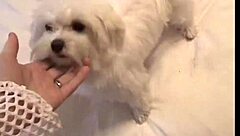 Brookeskye and Asian babe in lingerie