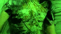 Breed whore roughly fucked and filled with cum after birth control tossed!