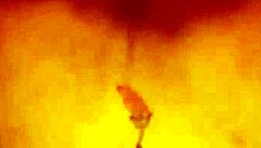 couple watches live sex in swing cabin!