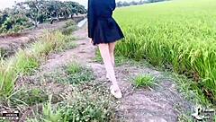 Young couples have sex in rice field.